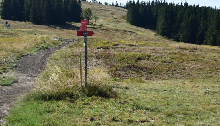 OPUSTOŠENJE NA ČRNEM VRHU NA POHORJU!  Na Črnem vrhu na Pohorju opozarjajo na 