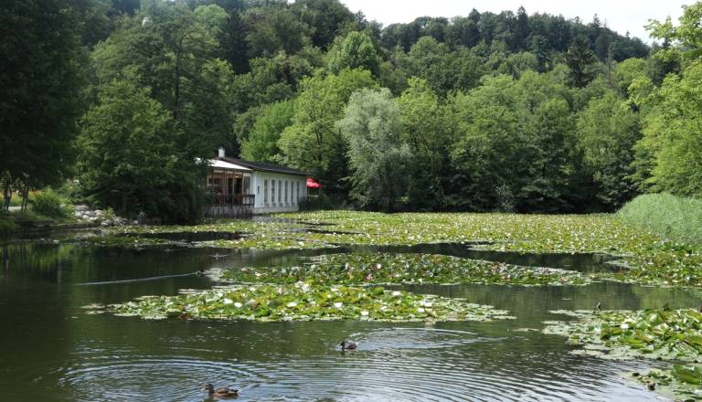 Iz Tivolskega ribnika je izginila ena najbolj prepoznavnih skulptur v Ljubljani: Zdaj je znano, kaj se je zgodilo