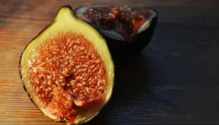 VIDEO: Srbeče roke po nabiranju fig? Pekoča usta po zaužitju? To je razlog