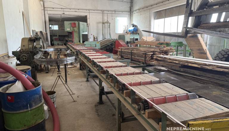 Za dva milijona evrov se sredi Ribnice prodaja industrijski kompleks