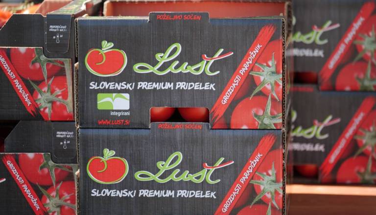 Solastniki priglasili prevzem večinskega deleža v družbi Paradajz