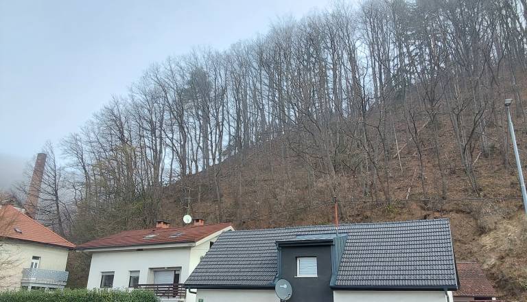 Pozor, vozniki: Na Dolenjski cesti ta vikend prihaja zapora zaradi sečnje dreves na Golovcu