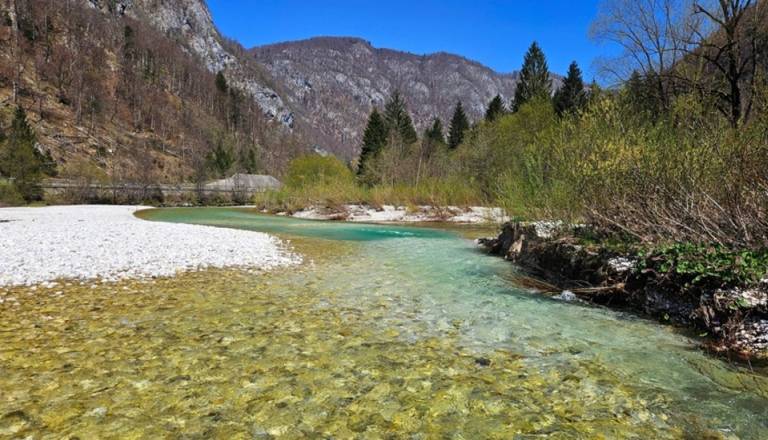 V slovenskih rekah se dogaja nekaj zaskrbljujočega: Zaradi vročine že omejujejo ribolov