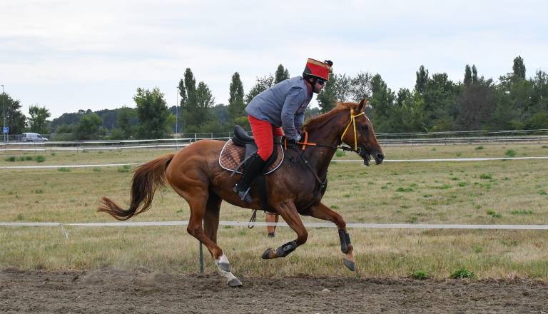 FOTO in VIDEO: Lendava v znamenju konj, jubilejni Pomurski galop privabil obiskovalce