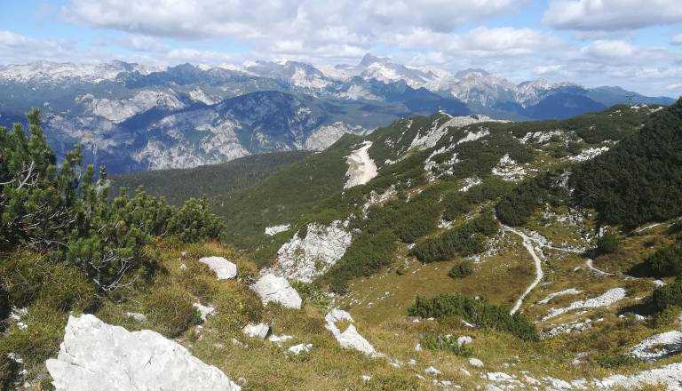 Gorska nesreča na Voglu, poškodovano planinko reševali s helikopterjem