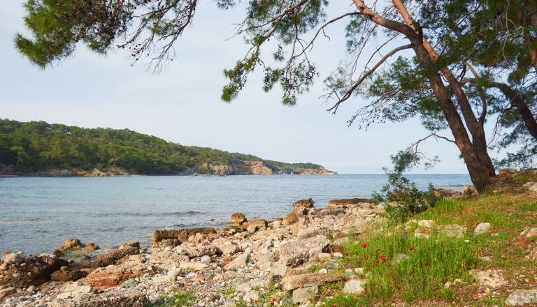 Šok na plaži v Crikvenici: Drevo padlo na kopalce, štirje poškodovani