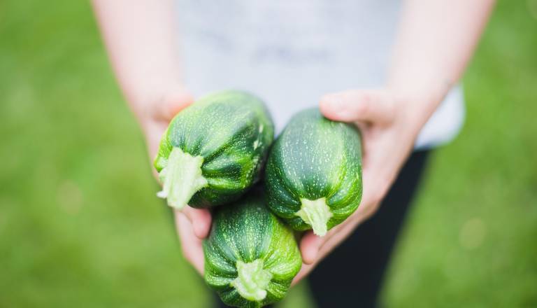 Poskusili ste že vse recepte z bučkami? Teh zagotovo še niste