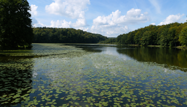 To jezero znova odprto za ribolov, ribiče pozivajo k odgovornemu ravnanju