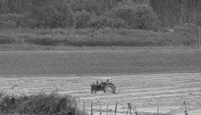 Tragična nesreča: Traktor se je prevrnil, voznik izgubil življenje