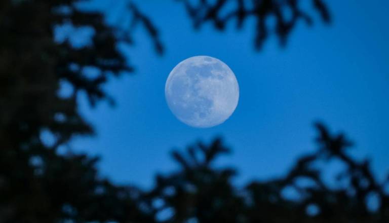 Danes poglejte v nebo, Luna bo za več kot uro skrila Venero