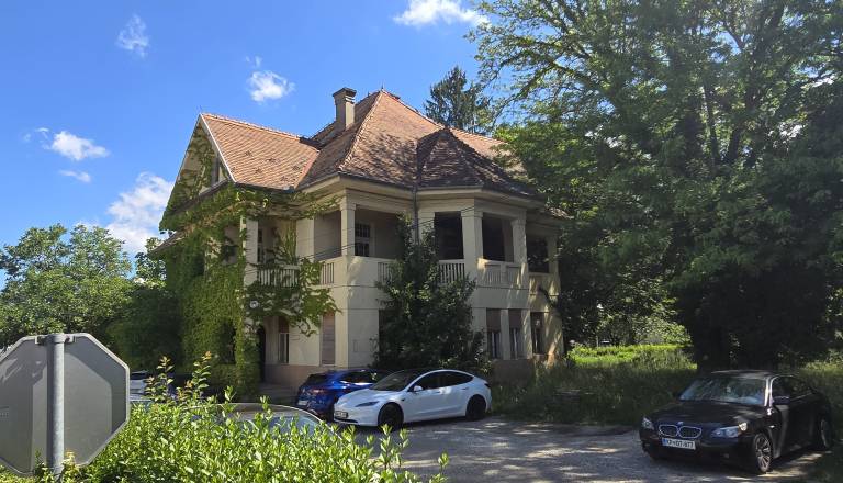 Hartnerjeva vila zaščitena »kot kočevski medved«, varovani celo tloris, parketi in zaščita za radiatorje