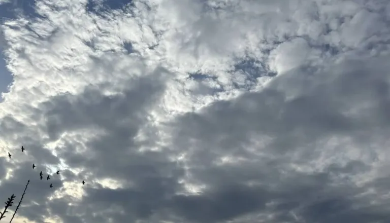 Vreme bo danes še muhasto, to pa za konec tedna napovedujejo meteorologi
