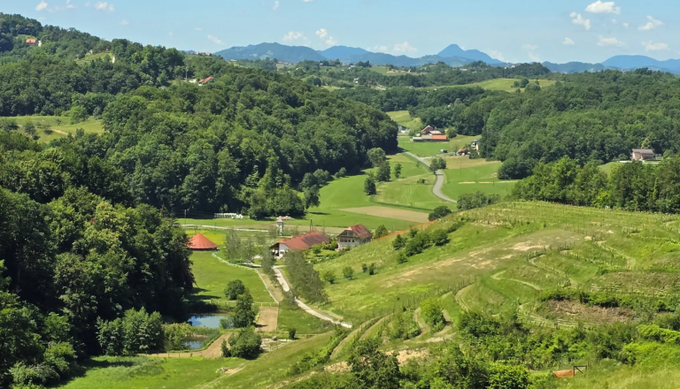Nepremičnina