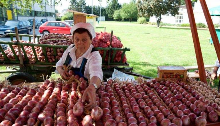 Toča oklestila pridelek dornavskega lüka, težave tudi pri pletenju tradicionalnih krencev