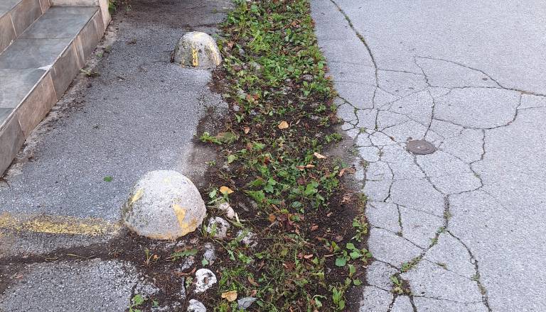 FOTO: Ljubljančani opozarjajo na težavo v Krakovem: »Nujno je treba obnoviti in očistiti muldo«
