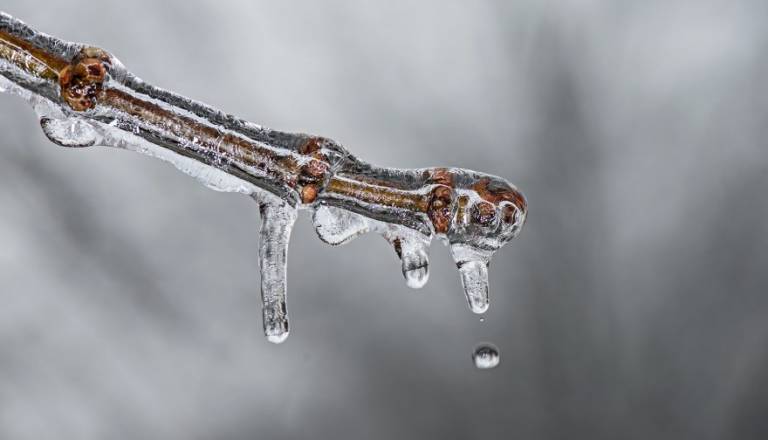 Pomurje čaka mrzlo jutro, termometri se bodo približali ničli