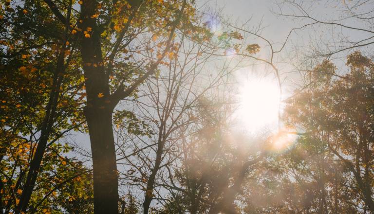 Indijansko poletje prihaja: temperature do 26 °C, sončno vreme bo vztrajalo ves teden