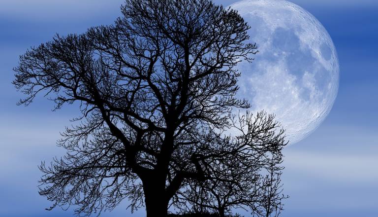 Strastna polna luna bo pretresla čustva, ta znamenja čaka neizbežen preobrat