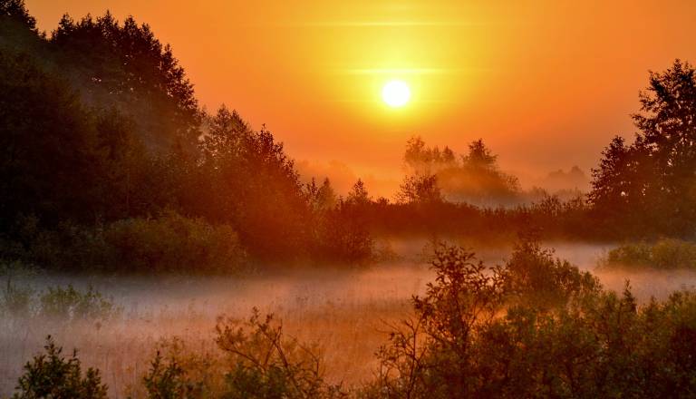 Jutra bodo meglena, dnevi pa sončni in topli: Prihajajo temperature do 26 stopinj