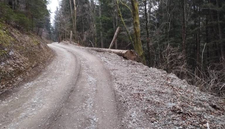 Sanacija ceste na Reber v Podljubelju se začenja, dela bodo trajala do junija prihodnjega leta