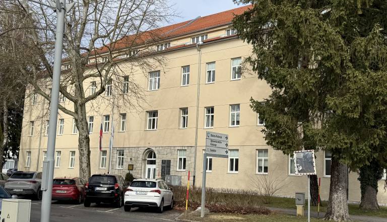 Se znan kočevski podjetnik podaja v boj za župana? To nam je odgovoril …