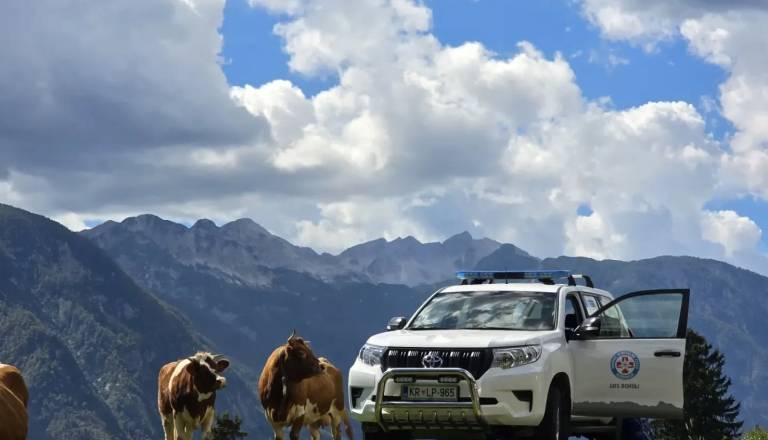 Pester dan v bohinjskih gorah: Tri pohodnice obtičale, po planinko helikopter