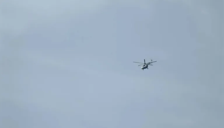 Pohodnika po ugrizu kače s helikopterjem prepeljali v UKC Ljubljana
