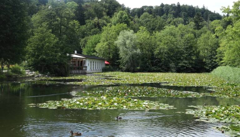 Kam je izginila znamenita skulptura Ribe iz Tivolija? Znano, kdaj se vrača ob ribnik