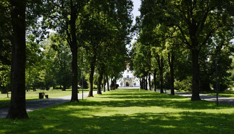 Mestni park Murska Sobota - dediščina preteklosti, prostor prihodnosti