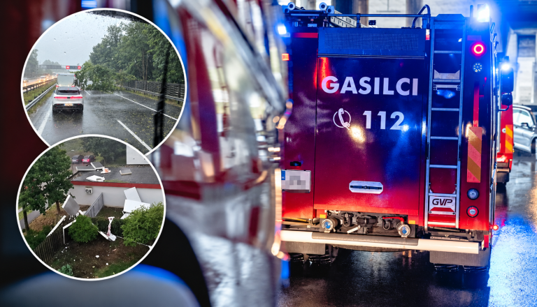 Posledice neurja v Ljubljani: Veter odnašal predmete in podrl drevo, gasilci na več deset intervencijah