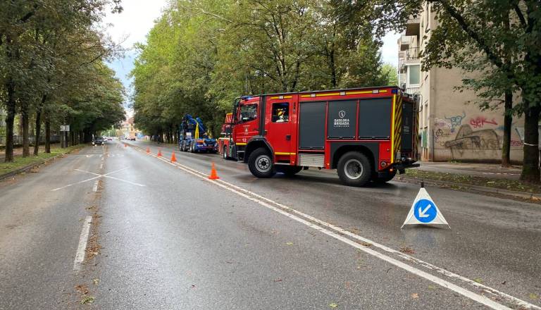 FOTO: Močan veter izruval drevo, to se je naslonilo na blok