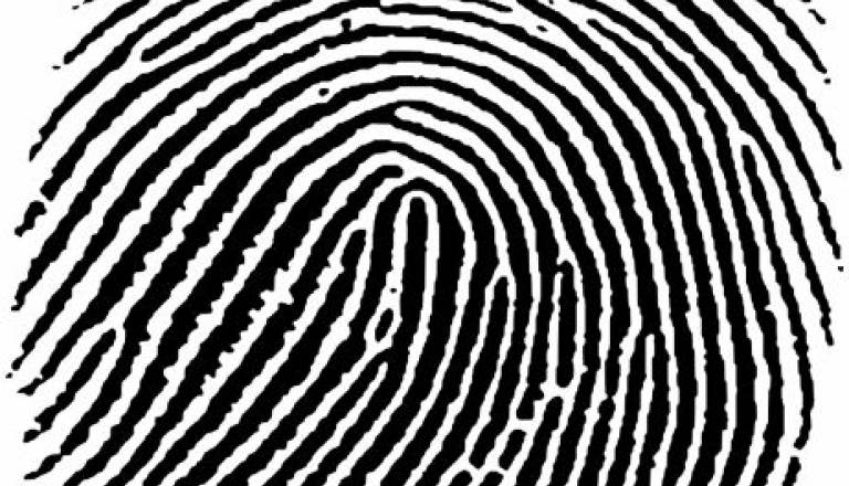 Dogodki in pojavi - Policija Murska Sobota