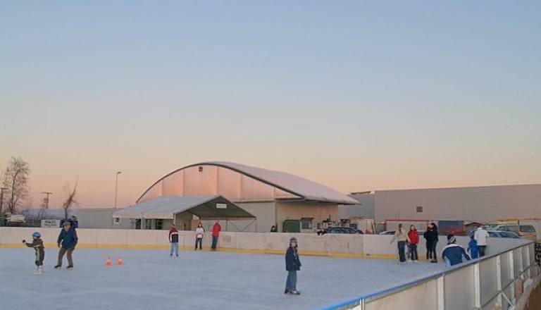 To zimo brez drsališča pri BTC-ju