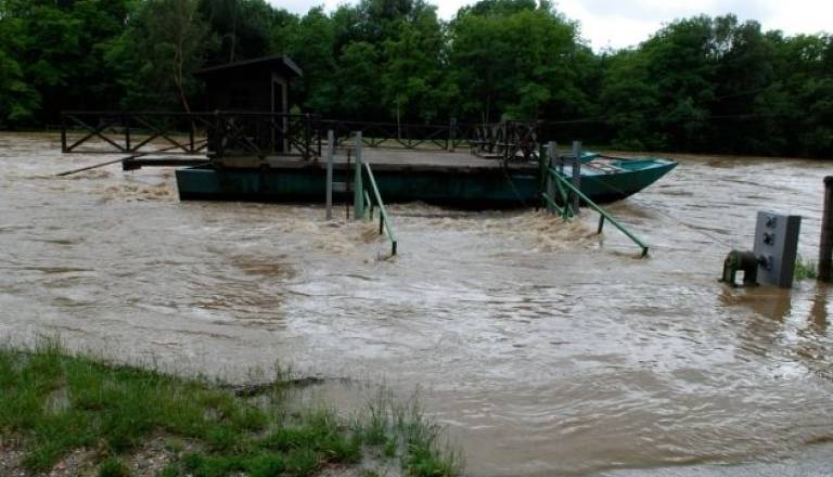 Mura danes ponovno poplavlja
