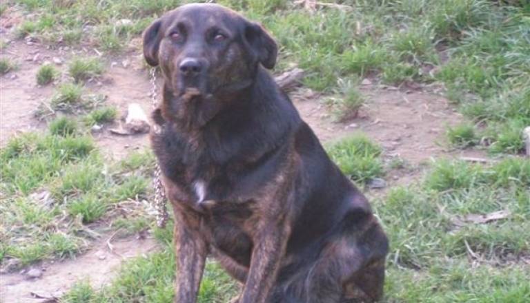 Simbolična fotografija