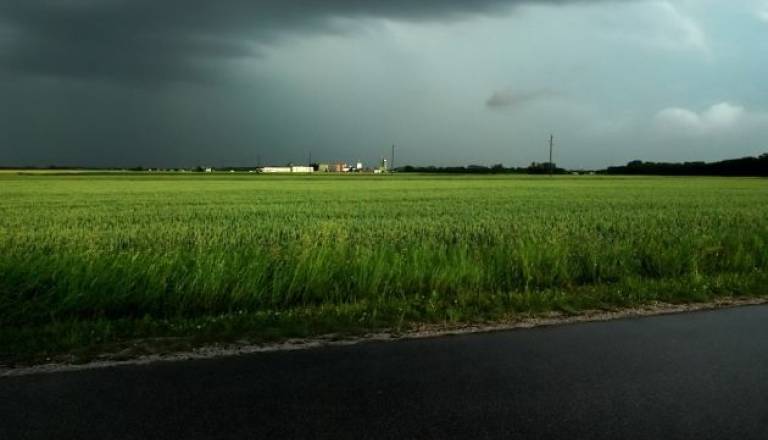 Foto: Tadej Kirinčič