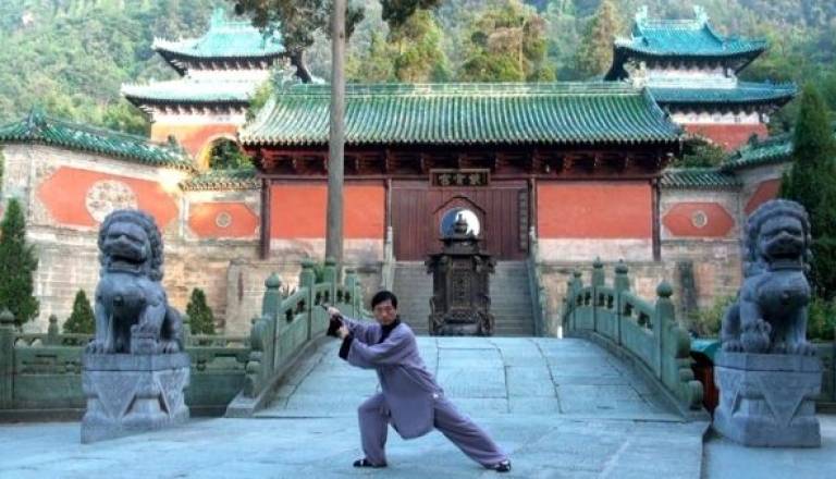 Mojster Chen Shi Ning