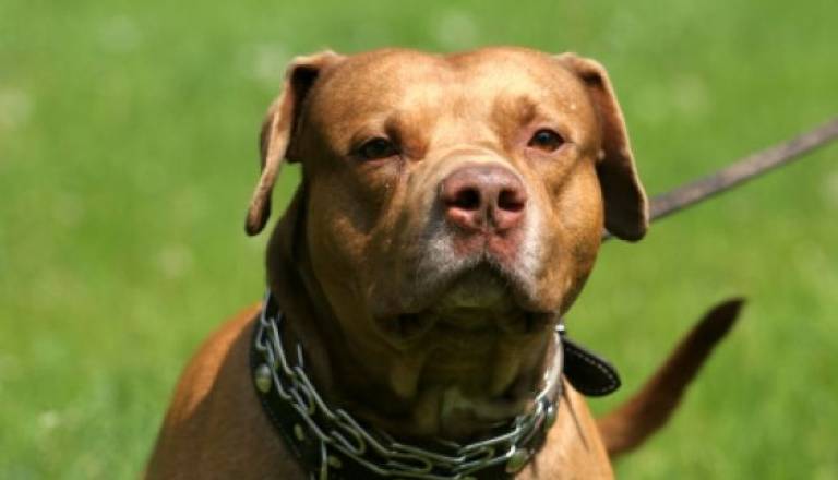 Fotografija je simbolična