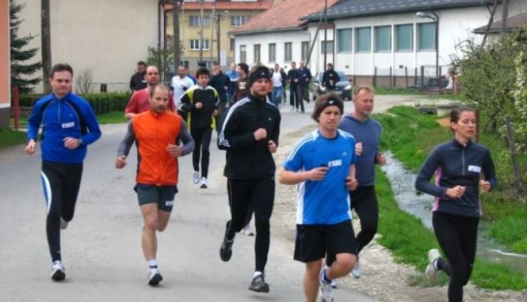 Tek močvirski tulipan_1.JPG