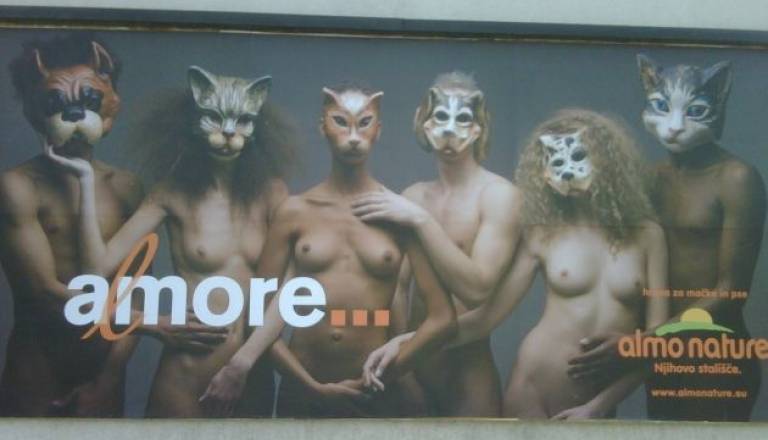  Plakat