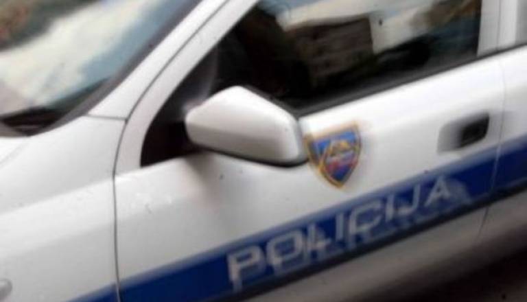 policijski avto2.jpg