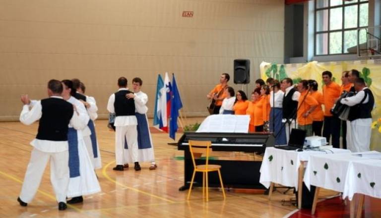 Proslava ob deseti obletnici VDC (1).JPG