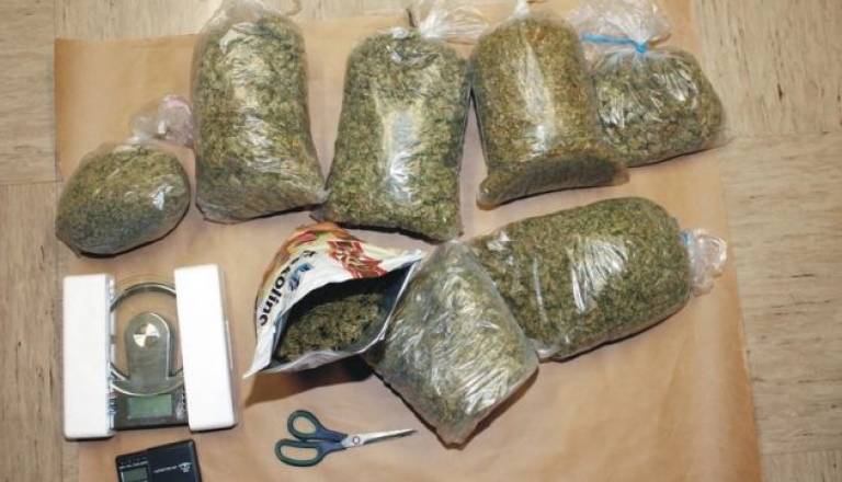 0912-82-10 - Zasežena konoplja 2.jpg