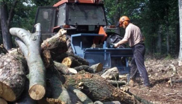 Slika je simbolna - delo v gozdu.jpg