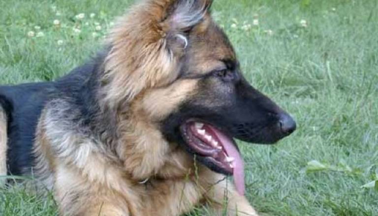 Fotografija je simbolična