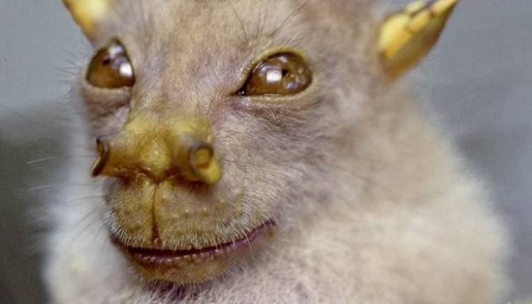 Screen shot 2011-01-02 at 11.13.25 AM.jpg