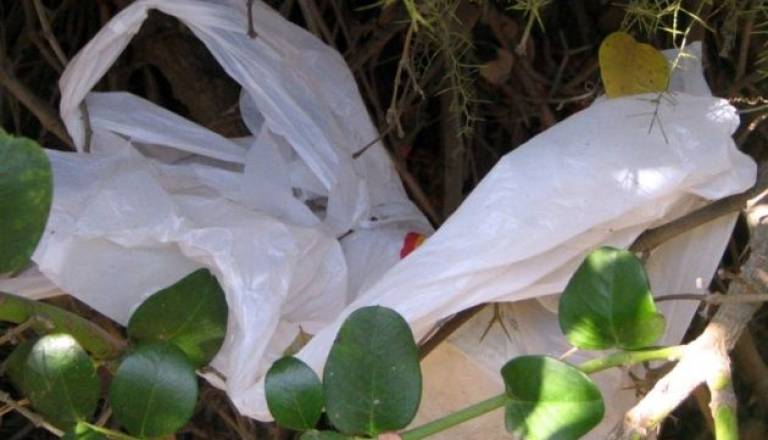 Plastične vrečke.jpg