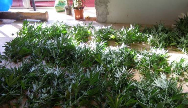 0912-105-11 - Zasegli prepovedano drogo in denar 2.jpg