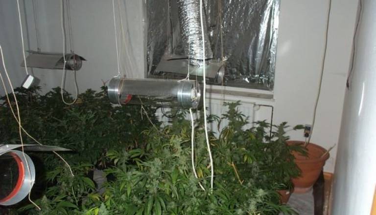 Zasežena prepovedana droga 2.jpg