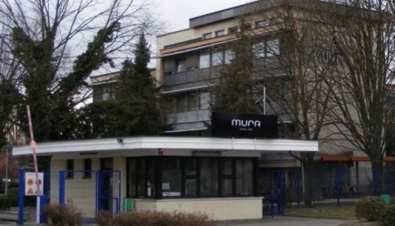 mura (1).JPG